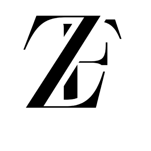 Z FOLD 7 CASES